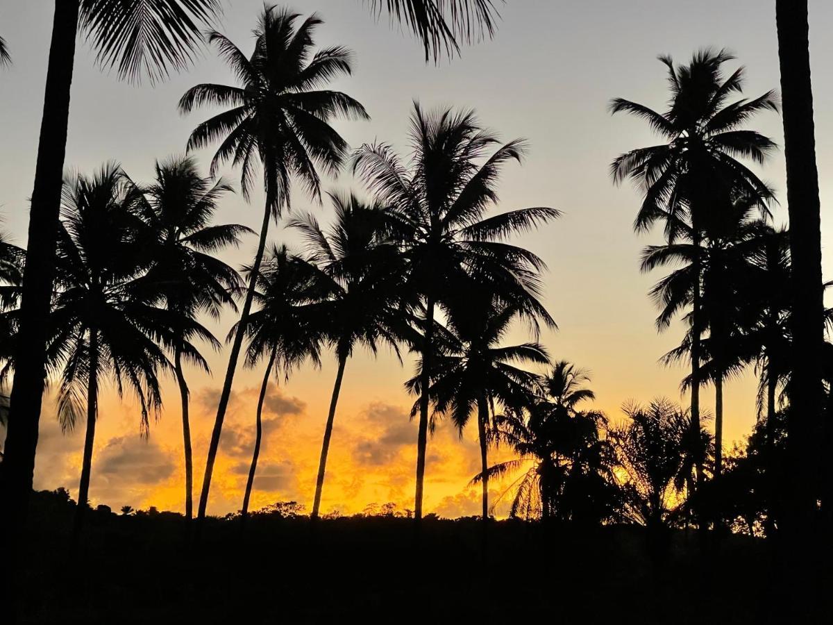 Pousada Horizonte Azul Velha Boipeba المظهر الخارجي الصورة